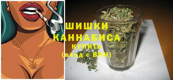PSILOCYBIN Гусь-Хрустальный