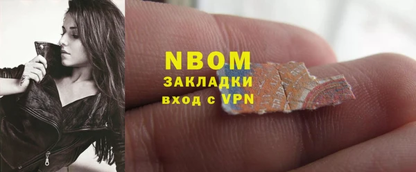 apvp Гусев
