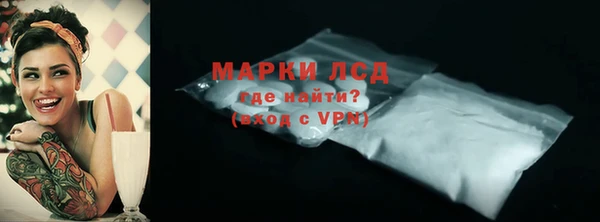 apvp Гусев