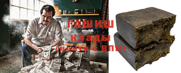apvp Гусев